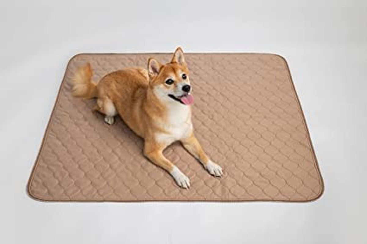 Reusable Dog Pee Pads - Dogs Waterproof Training Pads - Washable & Sanitary - Rounded Corners - Laminated, Lightweight, Durable - Pet Essentials Puppy Training, Whelping - 41"X41" W/ Grommets