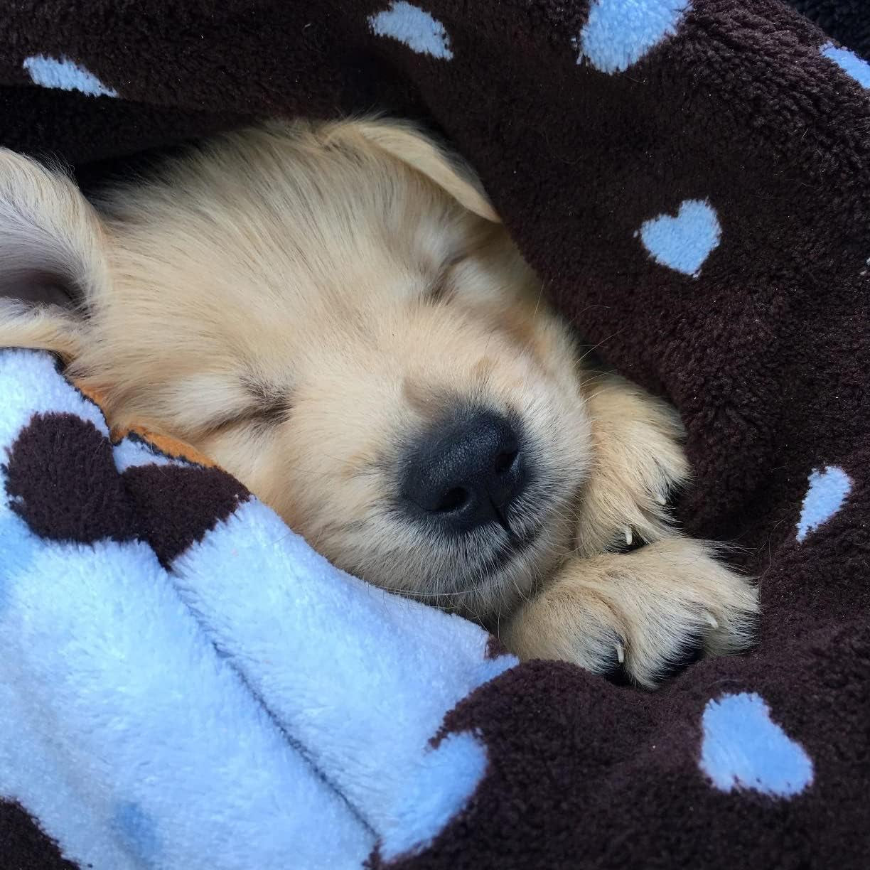 Blanket for Pets - Extra Soft and Long Lasting - Blue Pattern